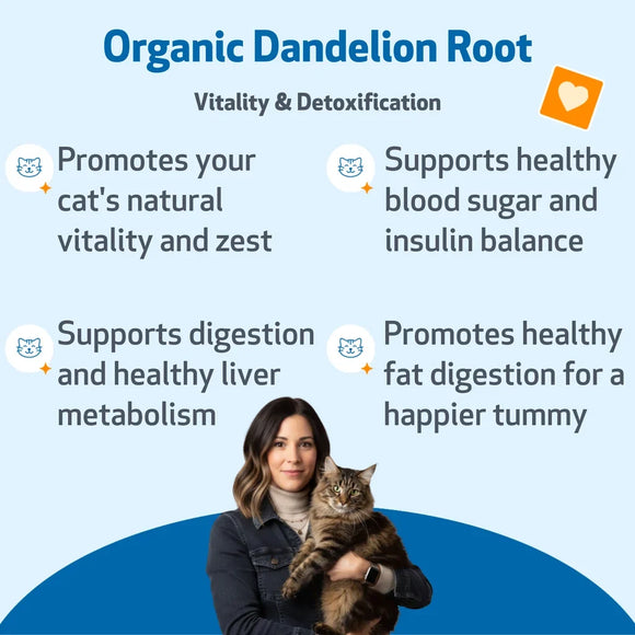Dandelion Root Digestive & Liver Support for Cats 2-oz - Cat Digestive & Probiotics Supplements 3