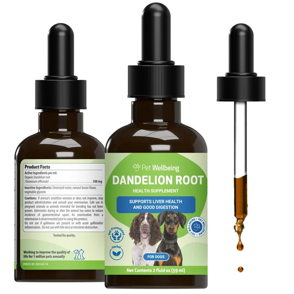 Dandelion Root Digestive & Liver Support for Dogs - 2 oz - Dog & Cat Digestive & Probiotics Supplements 1