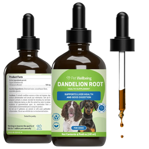 Dandelion Root Digestive & Liver Support for Dogs - 4 oz - Dog & Cat Digestive & Probiotics Supplements 2