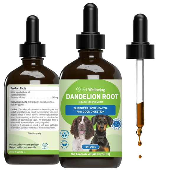 Dandelion Root Digestive & Liver Support for Dogs - 4 oz - Dog & Cat Digestive & Probiotics Supplements 2