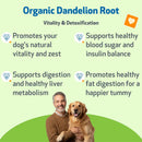 Dandelion Root Digestive & Liver Support for Dogs - Dog & Cat Digestive & Probiotics Supplements 13