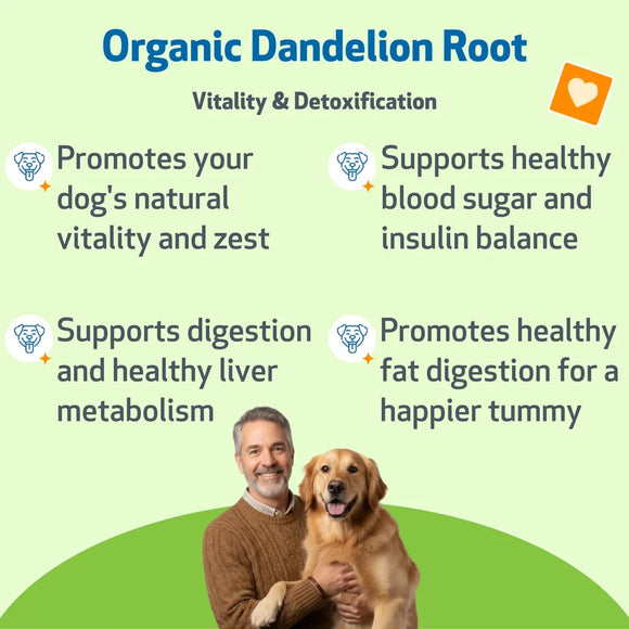 Dandelion Root Digestive & Liver Support for Dogs - Dog & Cat Digestive & Probiotics Supplements 13