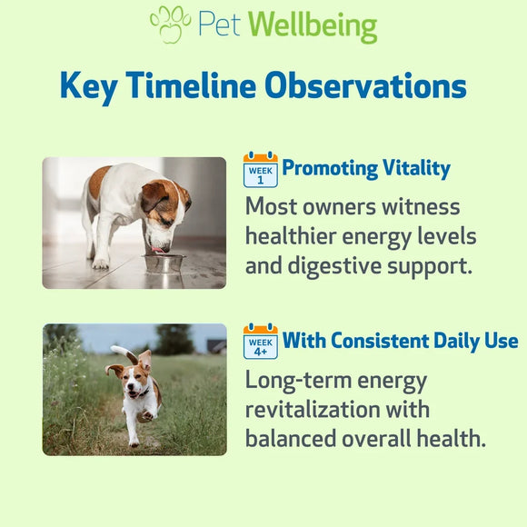 Dandelion Root Digestive & Liver Support for Dogs - Dog & Cat Digestive & Probiotics Supplements 7