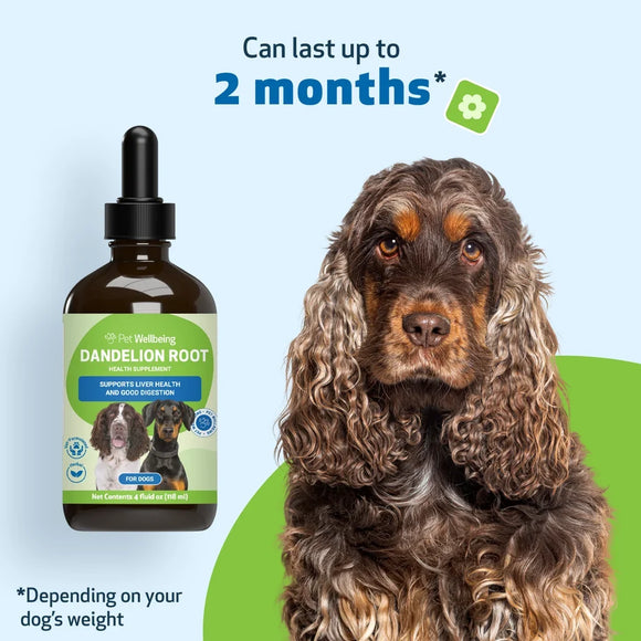 Dandelion Root Digestive & Liver Support for Dogs - Dog & Cat Digestive & Probiotics Supplements 5