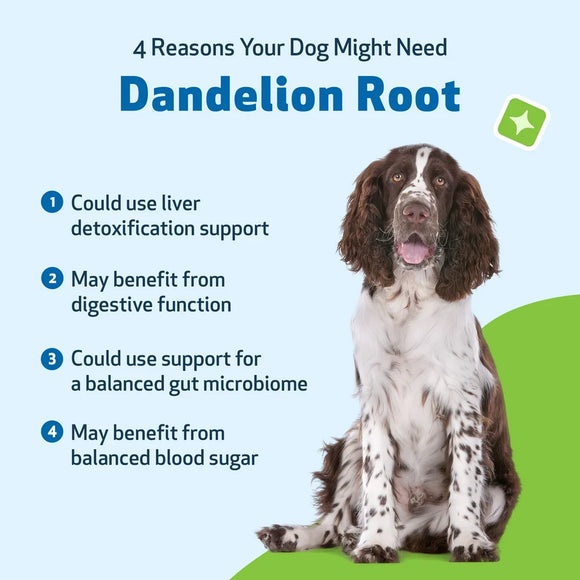 Dandelion Root Digestive & Liver Support for Dogs - Dog & Cat Digestive & Probiotics Supplements 6