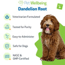 Dandelion Root Digestive & Liver Support for Dogs - Dog & Cat Digestive & Probiotics Supplements 10