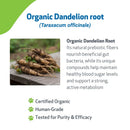 Dandelion Root Digestive & Liver Support for Dogs - Dog & Cat Digestive & Probiotics Supplements 12