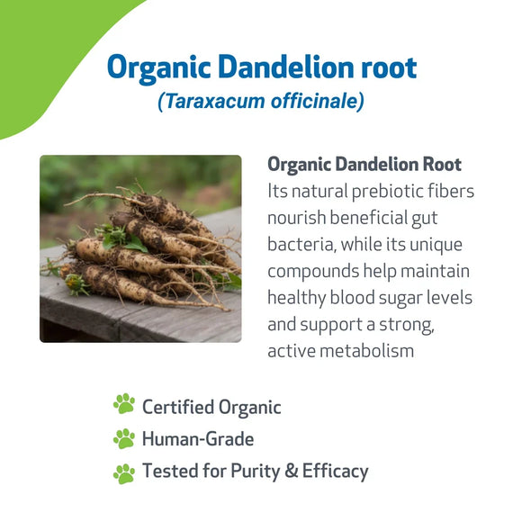 Dandelion Root Digestive & Liver Support for Dogs - Dog & Cat Digestive & Probiotics Supplements 12