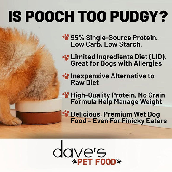 Advertisement for dave's Pet Food with a dog and text about the product's features.