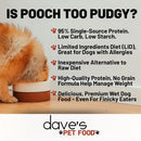 Advertisement for Dave's Pet Food featuring a dog and text about the pet food's benefits.