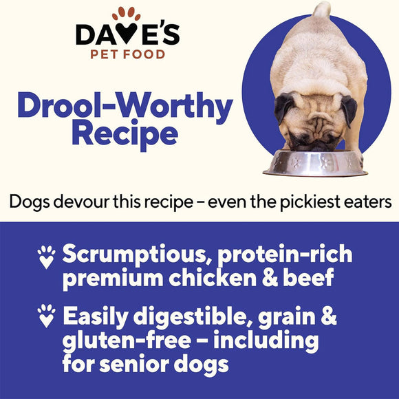 Advertisement for Dave's Pet Food with a pug eating from a bowl, highlighting a 'Drool-Worthy Recipe' for dogs.