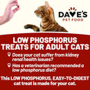 Dave's Pet Food Renal-Friendly Sweet Potato Recipe Treats For Dog (3 oz)