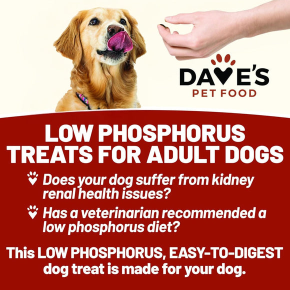 Dave's Pet Food Renal-Friendly Sweet Potato Recipe Treats For Dog  (5 oz)