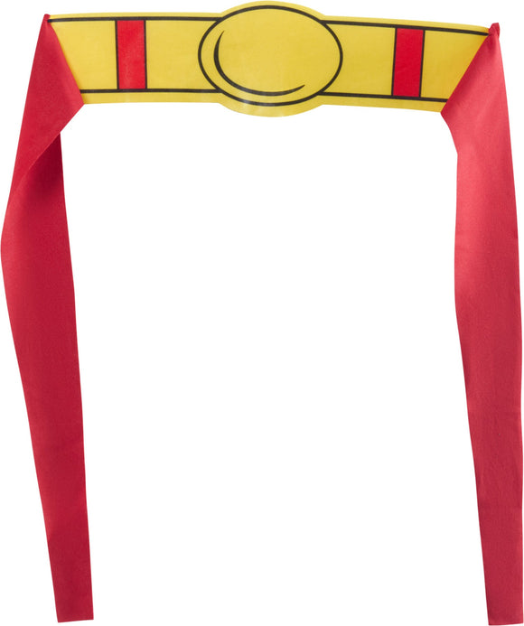 DC Comics Superheros Superman Pet Costume Pet Costume.