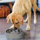 Outward Hound Fun Feeder Slo Bowl Slow Feeder Bowl Grey For Dog (Medium / Mini)