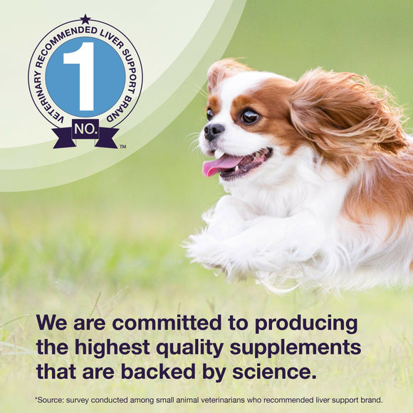 Denamarin for Cats and Small Dogs in a Bottle - Dog Supplements & Vitamins 7