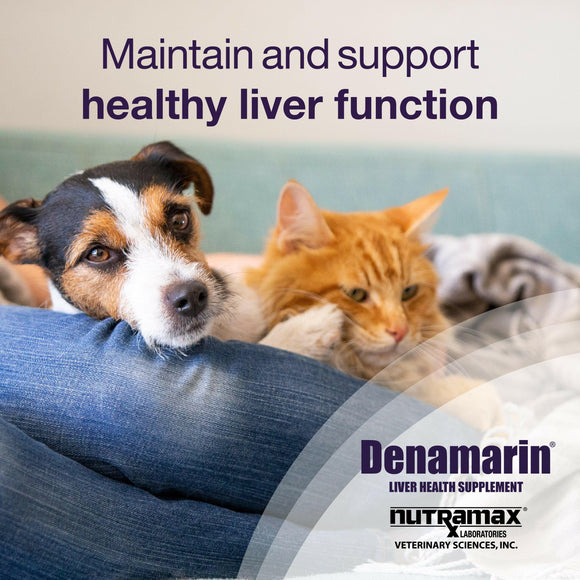 Denamarin for Cats and Small Dogs in a Bottle - Dog Supplements & Vitamins 5