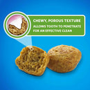Texture of Purina DentaLife Savory Salmon Crunchy Bites Dental Cat Treats 