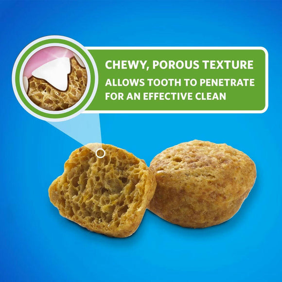Texture of Purina DentaLife Chicken Crunchy Bites Dental Cat Treats