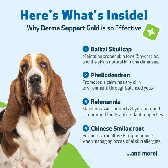 Derma Support Gold for Dogs Healthy Coat Odor & Itching (2 oz) - Dog Hot Spot & Itch Relief 7