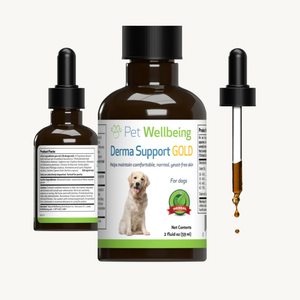 Derma Support Gold for Dogs Healthy Coat Odor & Itching (2 oz) - Dog Hot Spot & Itch Relief 2