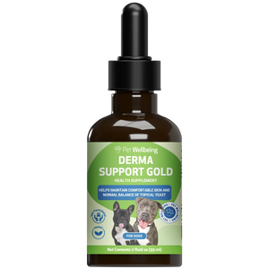 Derma Support Gold for Dogs Healthy Coat Odor & Itching (2 oz) - Dog Hot Spot & Itch Relief 1