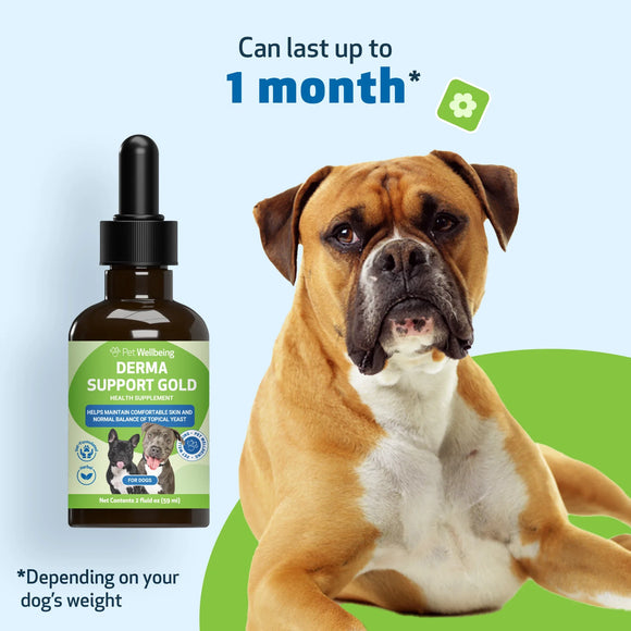 Derma Support Gold for Dogs Healthy Coat Odor & Itching (2 oz) - Dog Hot Spot & Itch Relief 5