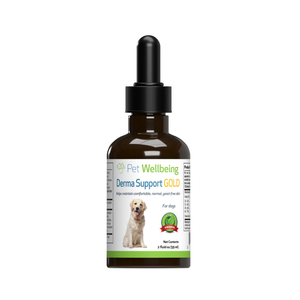 Derma Support Gold for Dogs Healthy Coat Odor & Itching (2 oz) - Dog Hot Spot & Itch Relief 1