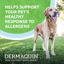 Dog standing on grass with text about Dermaquin supplement for pet allergies