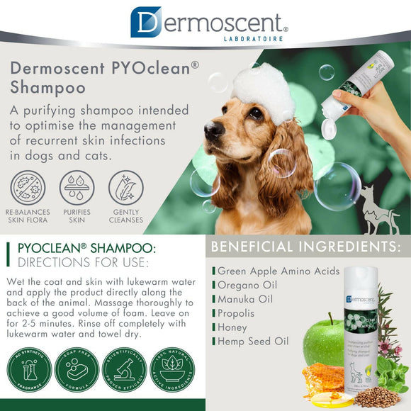 Dermoscent Soap Free Shampoo Dogs Cats Skin Support