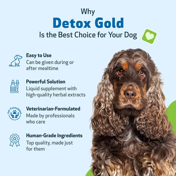 Detox Gold for Dogs - Gentle Detoxification & Elimination Support - Dog Supplements & Vitamins 6