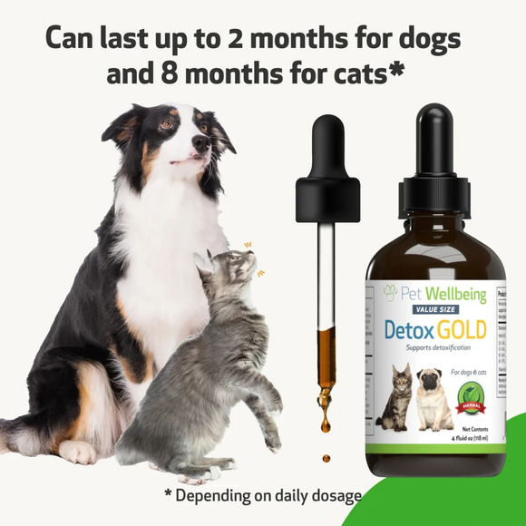 Detox Gold for Dogs - Gentle Detoxification & Elimination Support - Dog Supplements & Vitamins 9
