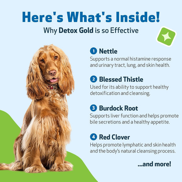 Detox Gold for Dogs - Gentle Detoxification & Elimination Support - Dog Supplements & Vitamins 7
