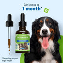 Detox Gold for Dogs - Gentle Detoxification & Elimination Support - Dog Supplements & Vitamins 9