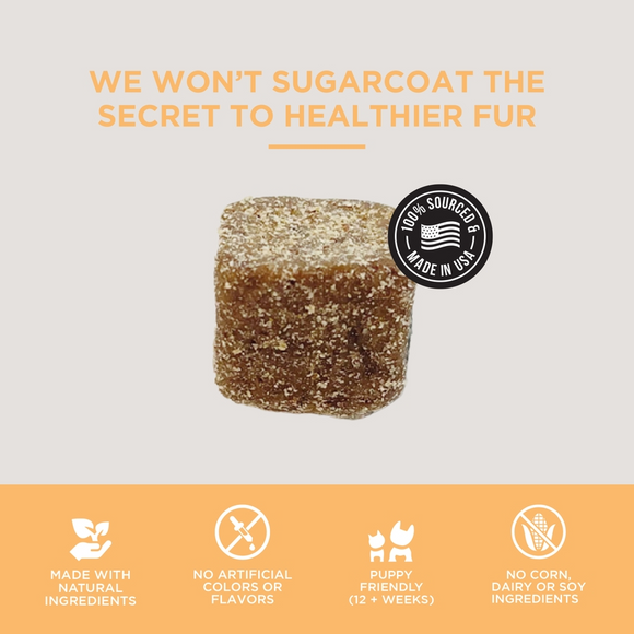 Natural Rapport The Only Skin & Coat Soft Chews Dogs Need Skin & Coat Supplement