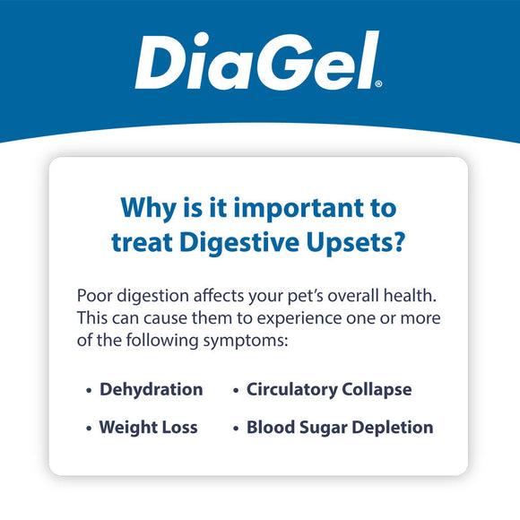 DiaGel Anti-Diarrheal Gel for Horses (30 ml) - Horse Vitamins & Supplements 4