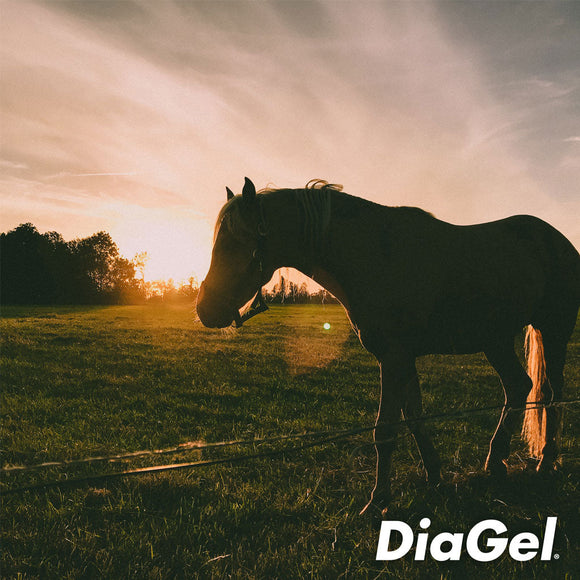 DiaGel Anti-Diarrheal Gel for Horses (30 ml) - Horse Vitamins & Supplements 12