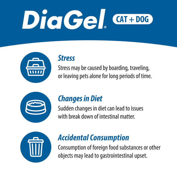 DiaGel Anti-Diarrheal Gel for Kittens (0.5 ml) - Cat Digestive & Probiotics Supplements 12
