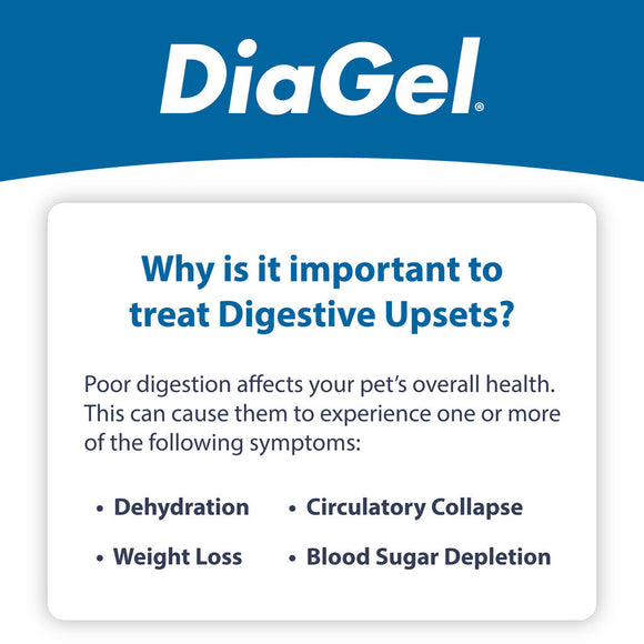 DiaGel Anti-Diarrheal Gel for Kittens (0.5 ml) - Cat Digestive & Probiotics Supplements 8