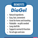 DiaGel Anti-Diarrheal Gel for Large Dogs (5 ml) - Dog Digestive & Probiotics Supplements 13