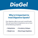 DiaGel Anti-Diarrheal Gel for Large Dogs (5 ml) - Dog Digestive & Probiotics Supplements 11