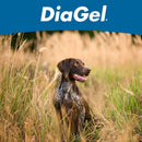 DiaGel Anti-Diarrheal Gel for Medium Dogs (3 ml) - Dog Digestive & Probiotics Supplements 12