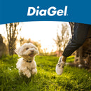 DiaGel Anti-Diarrheal Gel for Small Dogs (1 ml) - Dog Digestive & Probiotics Supplements 7