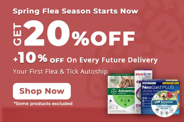 The image displays three pet flea and tick prevention products: a green advantix box, a blue nexgard plus package with white text on the front, and a circular seresto collar in its packaging.