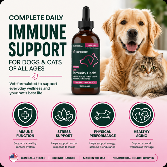 DMG Immunity Health Liquid for Cats and Dogs - Dog Supplements & Vitamins 7