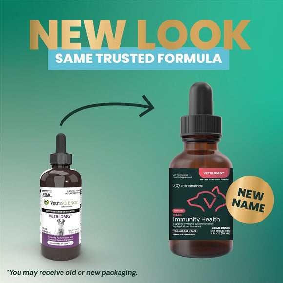 DMG Immunity Health Liquid for Cats and Dogs - Dog Supplements & Vitamins 2