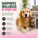 DMG Immunity Health Liquid for Cats and Dogs - Dog Supplements & Vitamins 5