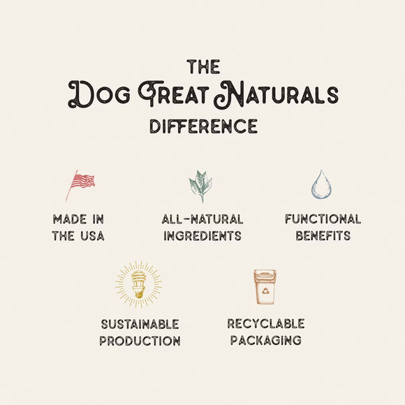 Dog Treat Naturals Superfood Bites Treats 8-oz - Dog Treats 3