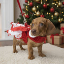 Doggie Design Holiday Harness Dress Candy Canes for Dogs & Cats - Dog Clothing & Apparel 4