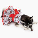 Doggie Design Holiday Harness Dress Holly for Dogs & Cats - Dog Clothing & Apparel 4